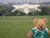 Austria Wien - WERDER BREMEN