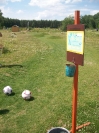 Fußballgolfen