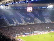 Hamburger SV - WERDER BREMEN