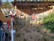 Unsere Kohlfahrt 2024