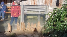 Unsere Kohlfahrt 2024