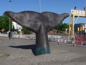 WERDER BREMEN - Borussia M'gladbach (Fanclubreise)