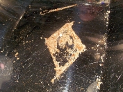 WERDER BREMEN - Hertha BSC (Fanclubreise)