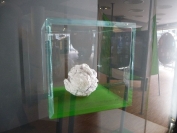 WERDER BREMEN - SpVgg Greuther Fürth (Fanclubreise)