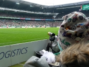 WERDER BREMEN - RB Leipzig