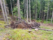 Werders Sommertrainingslager 2025 im Zillertal